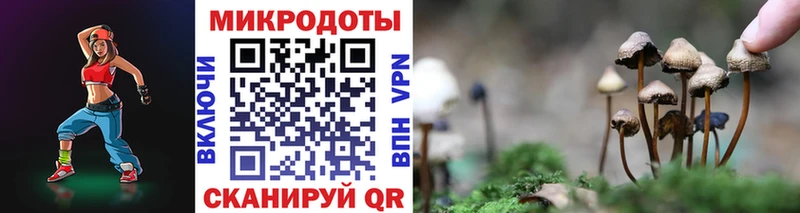Купить  Ивдель  Галлюциногенные грибы мухоморы 
